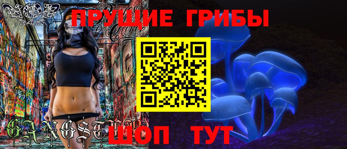 Киселёвск  Псилоцибиновые грибы прущие грибы  Вход с VPN  Галлюциногенные грибы GOLDEN TEACHER 