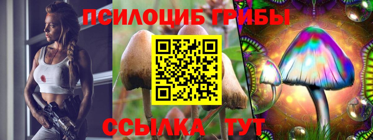 Галлюциногенные грибы прущие грибы Киселёвск